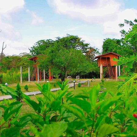 Готель Sigiri Royal Point Tree House Сігірія Екстер'єр фото
