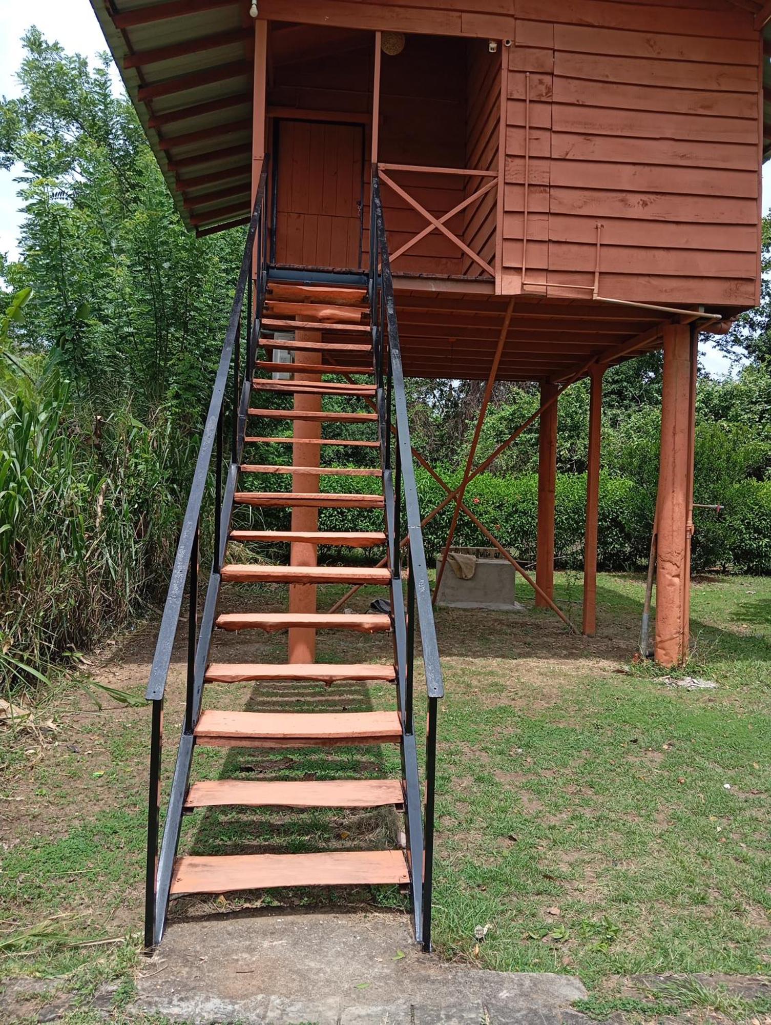 Готель Sigiri Royal Point Tree House Сігірія Екстер'єр фото