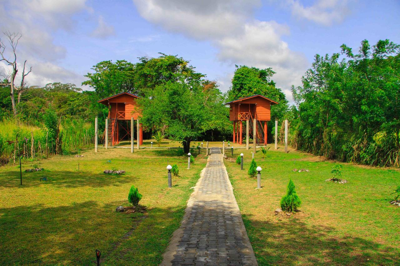 Готель Sigiri Royal Point Tree House Сігірія Екстер'єр фото