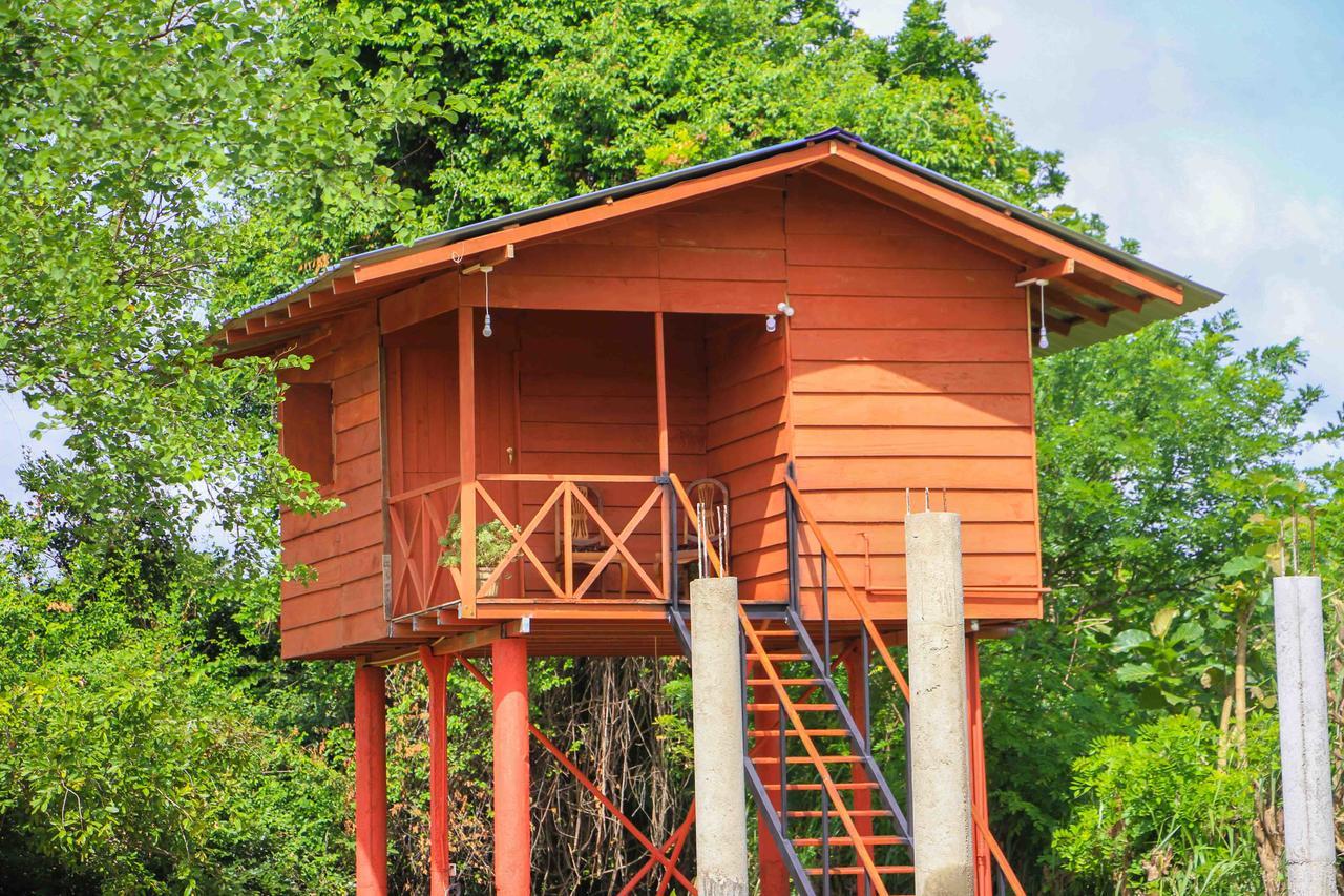 Готель Sigiri Royal Point Tree House Сігірія Екстер'єр фото