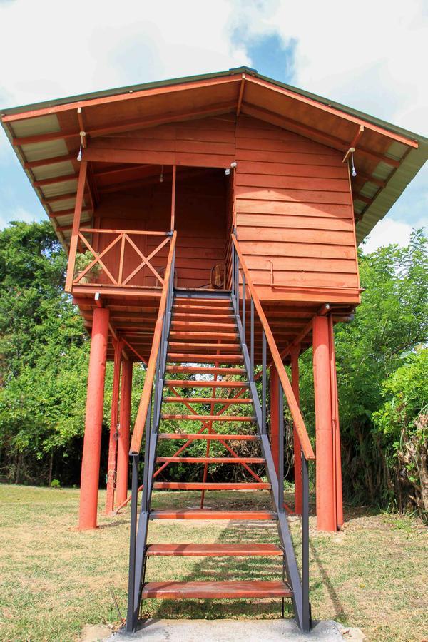 Готель Sigiri Royal Point Tree House Сігірія Екстер'єр фото